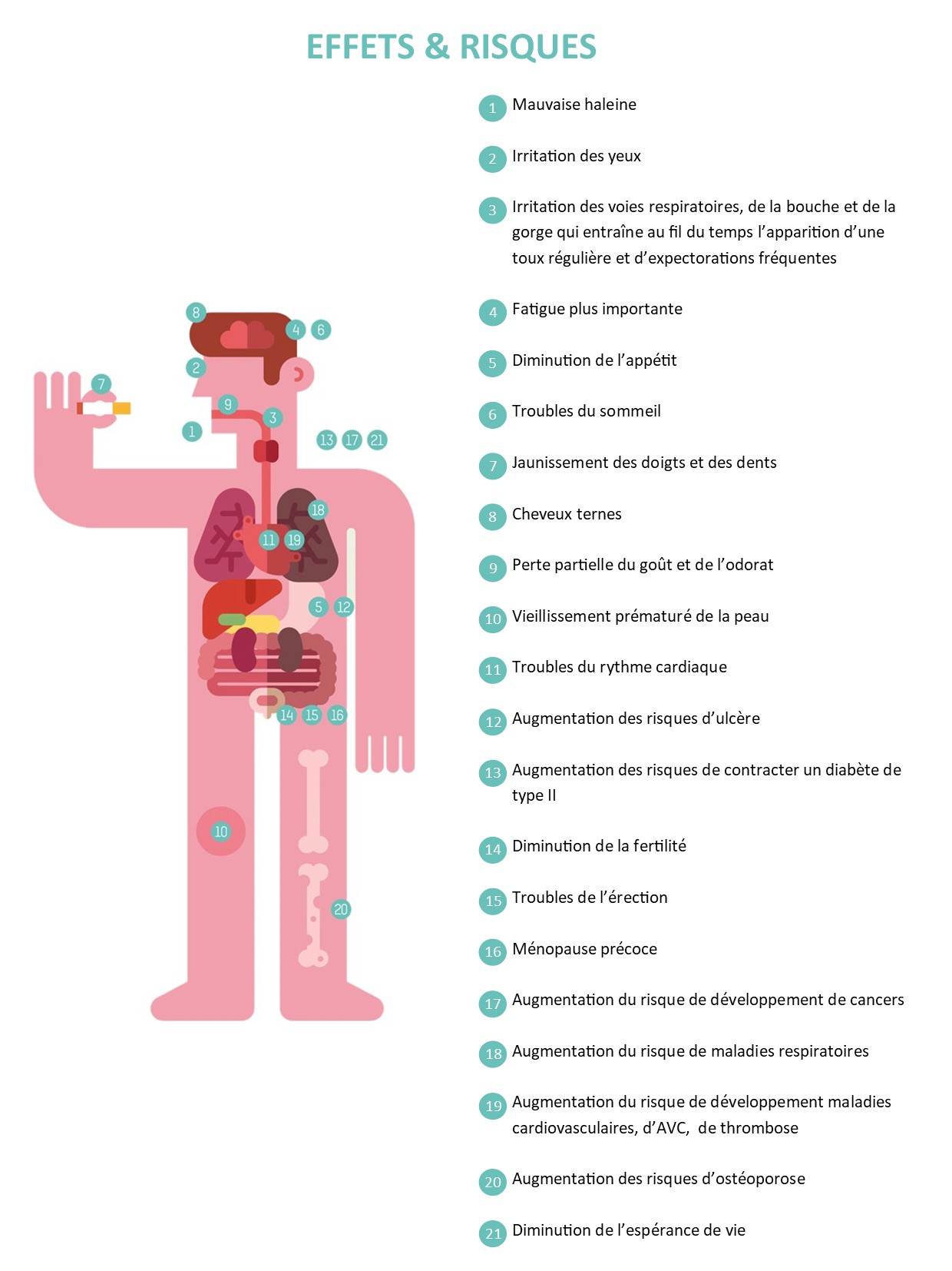 Après combien d'années les effets du tabac deviennent-ils irréversibles?, Santé