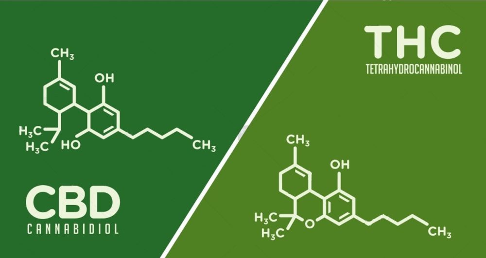 CBD THC