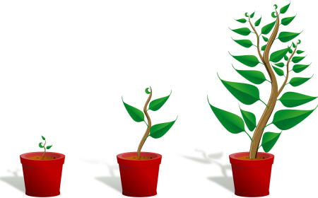 Croissance végétale Pixabay